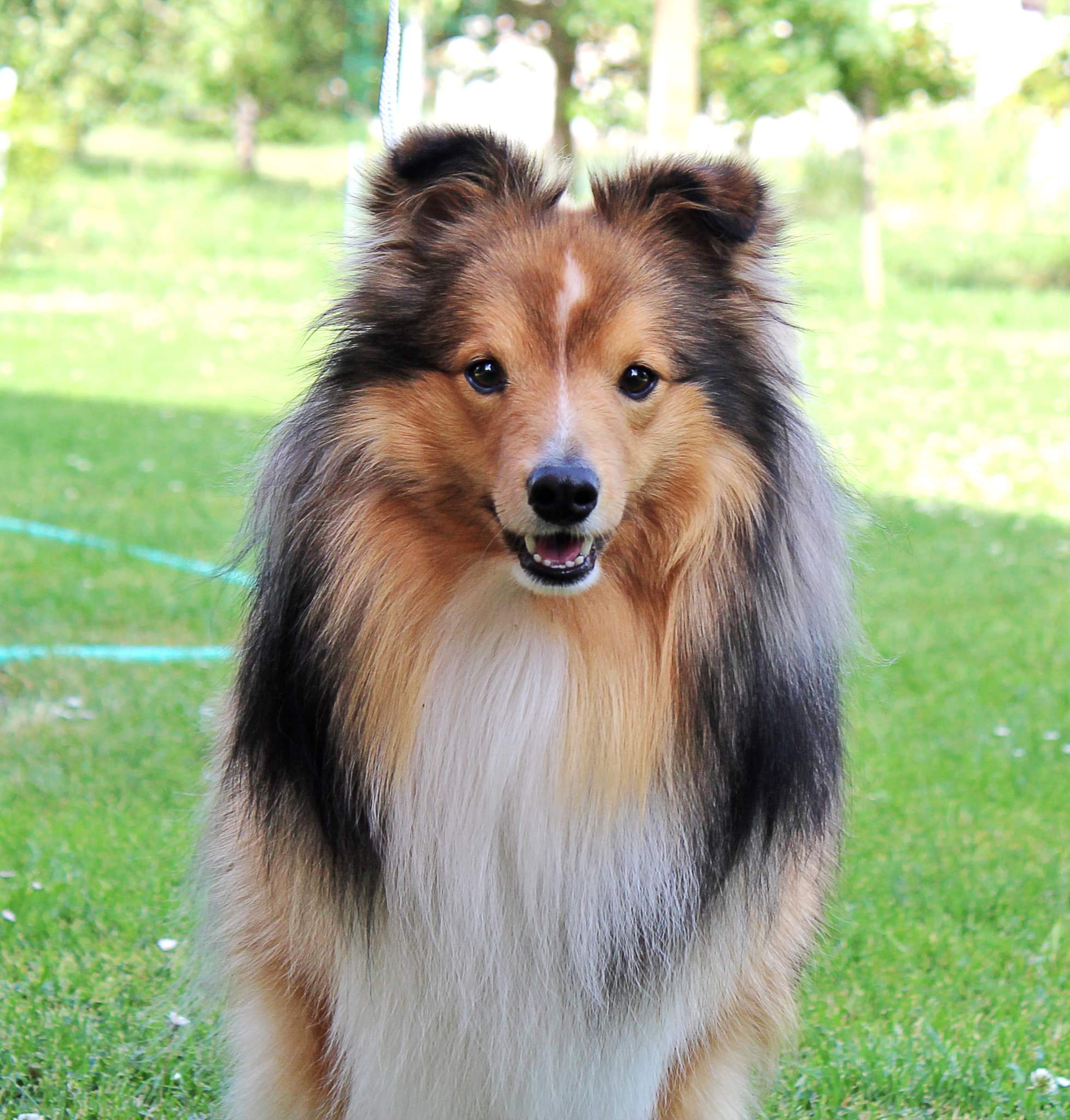 Zefýr z Ďáblovy studánky